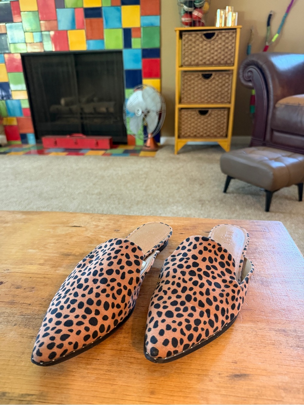 Leopard Print Pointed-Toe Slide Mules